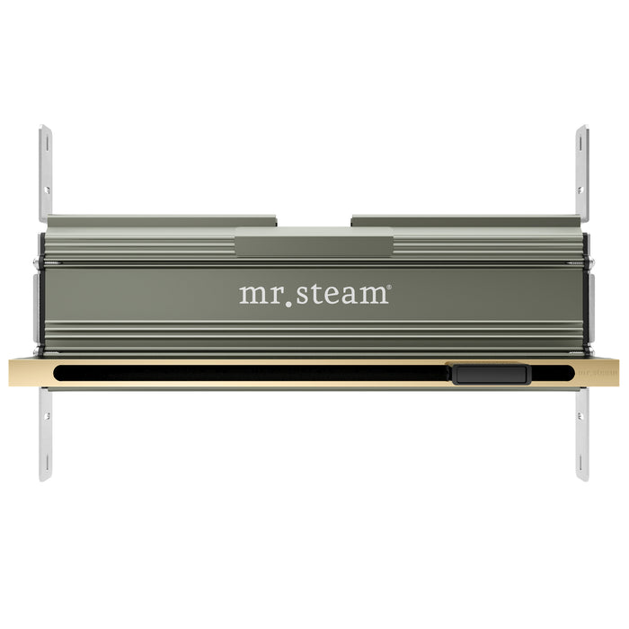 Mr. Steam XDream Max Linear Steam Shower Control Package with iSteamX Control and Linear SteamHead in White Brushed Bronze