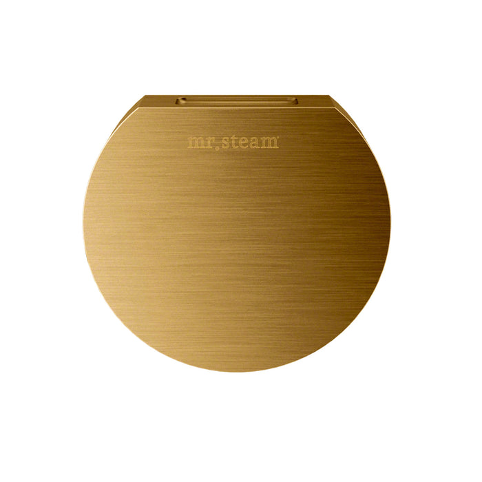 Mr. Steam Basic Butler Steam Shower Control Package with iTempo Control and Aroma Designer SteamHead in Round Polished Brass