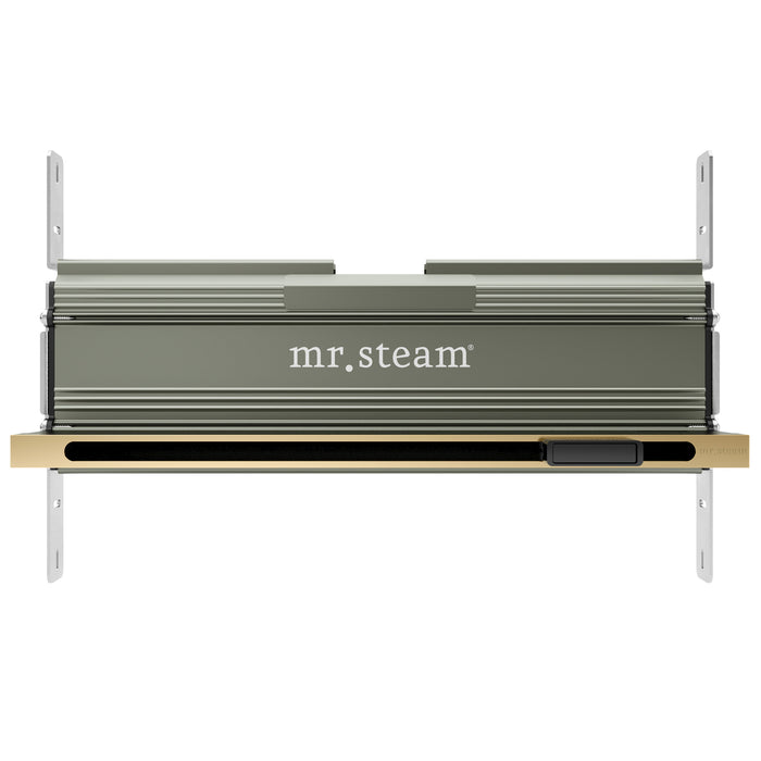 Mr. Steam AirButler Linear Steam Shower Control Package with AirTempo Control and Linear SteamHead in Black Polished Brass