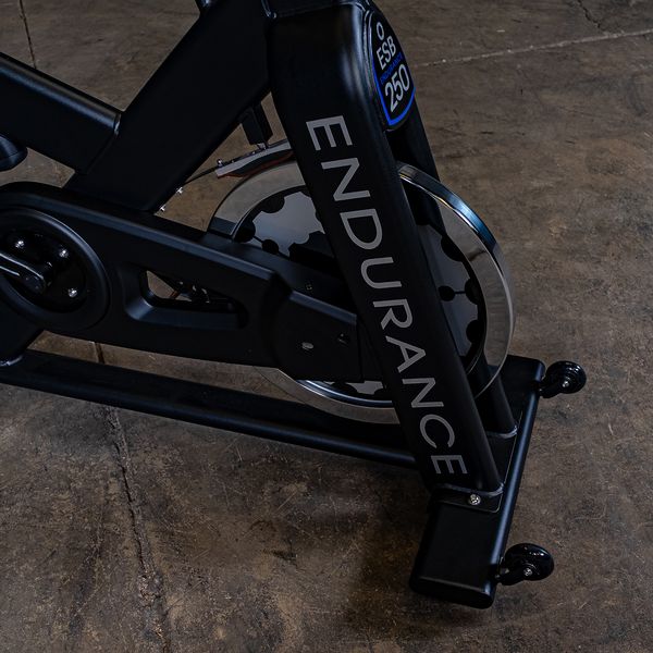 Body Solid Endurance Indoor Exercise Bike, Esb250