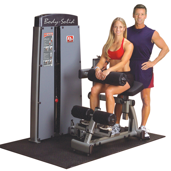 Body Solid Dual Ab/Back, Freestanding, W Stack