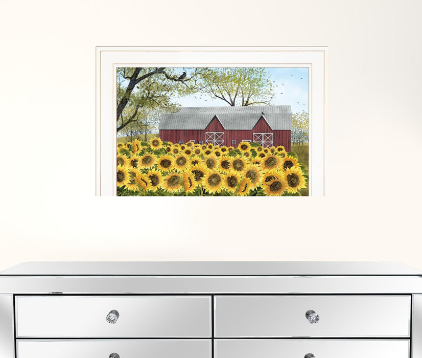 Sunflower Barn White Framed Print Wall Art