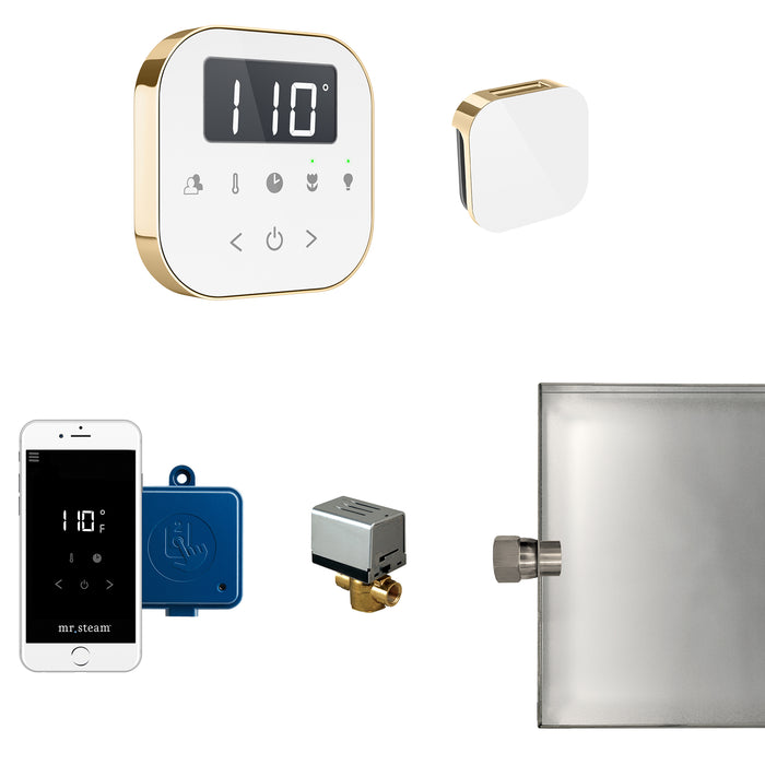 Mr. Steam AirButler Steam Shower Control Package with AirTempo Control and Aroma Glass SteamHead in White Polished Brass