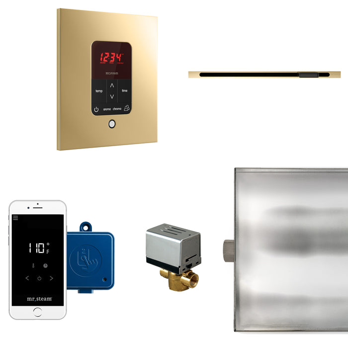 Mr. Steam Butler Linear Steam Shower Control Package with iTempoPlus Control and Linear SteamHead in Square Polished Brass