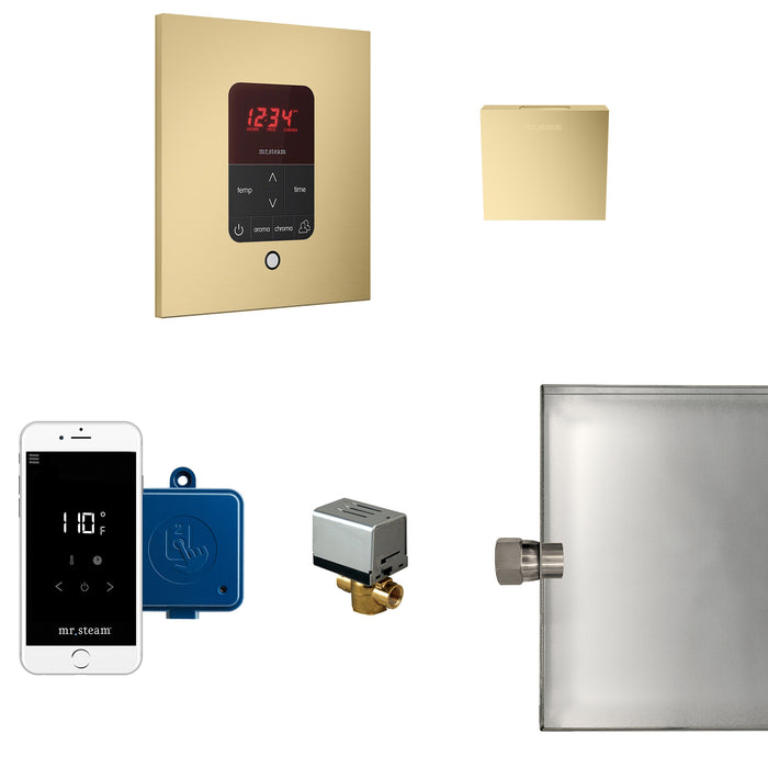 Mr. Steam Butler Steam Shower Control Package with iTempoPlus Control and Aroma Designer SteamHead in Square Satin Brass